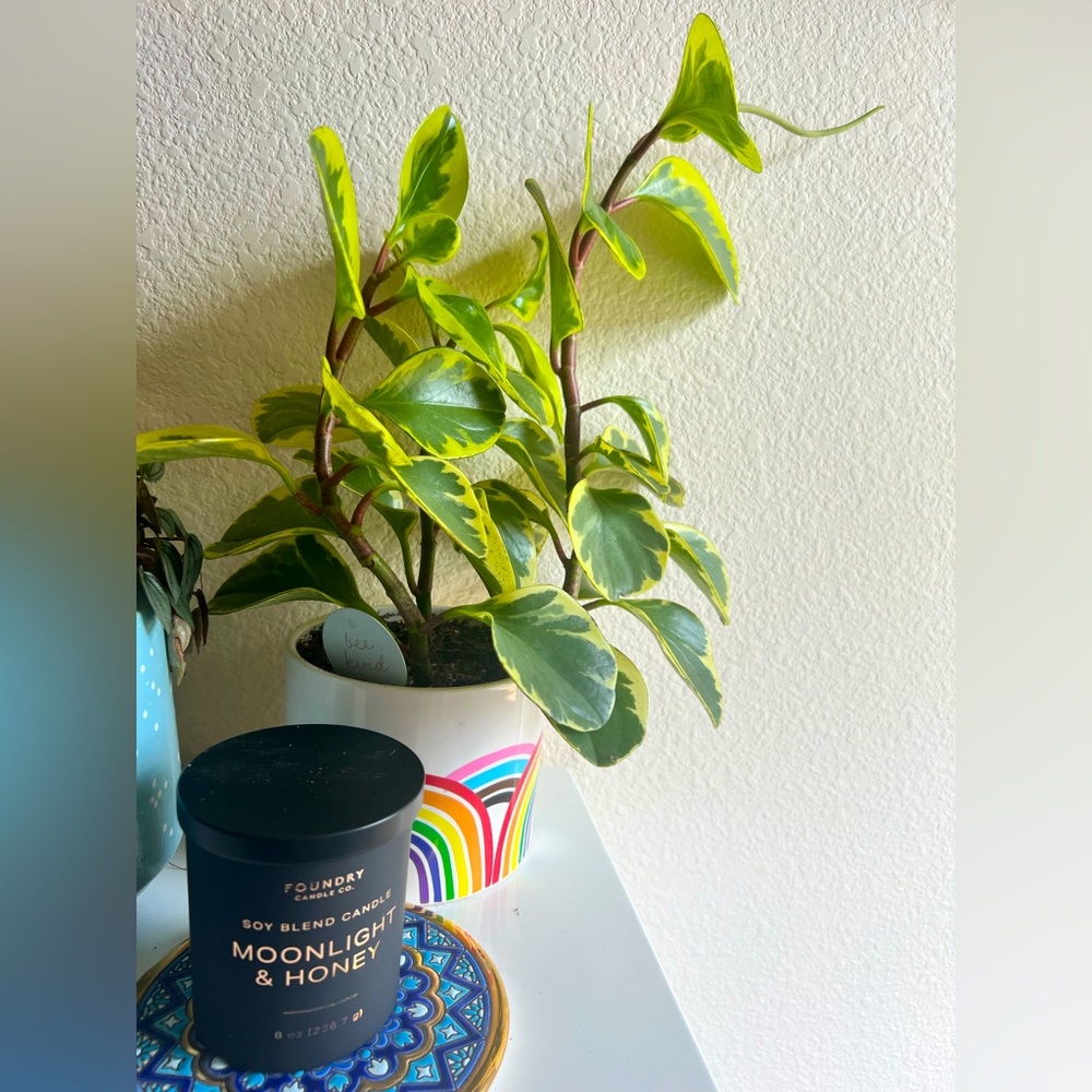 Trade for Hollylane_18